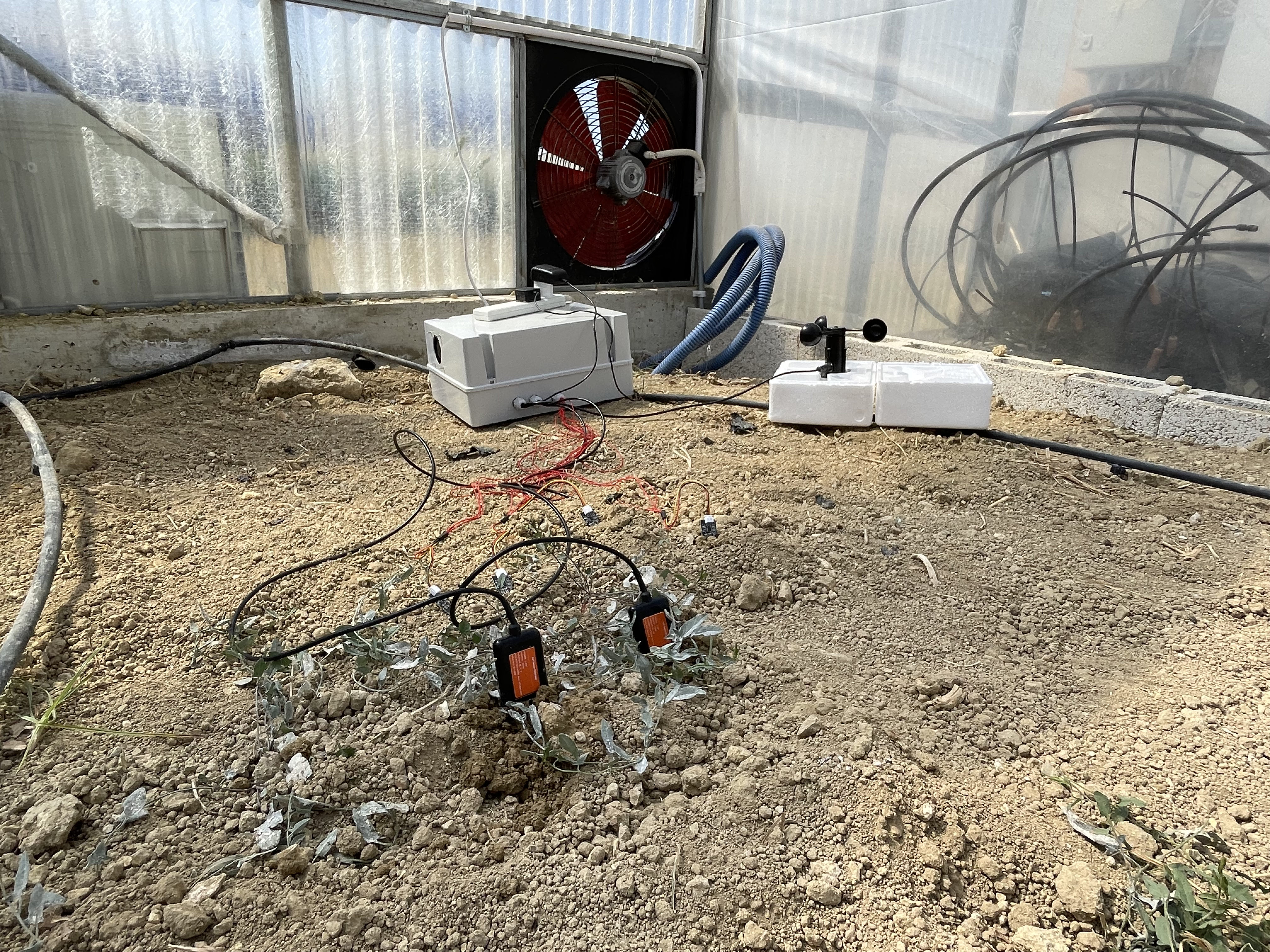 How my Android App Learned to Talk to Plants